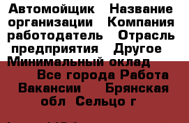 Автомойщик › Название организации ­ Компания-работодатель › Отрасль предприятия ­ Другое › Минимальный оклад ­ 15 000 - Все города Работа » Вакансии   . Брянская обл.,Сельцо г.